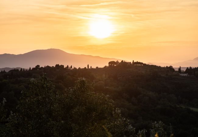 Villa a San Miniato - Villa San Miniato Corniano: Iconic 5 Bedrooms Farmhouse with Pool Villa a San Miniato - Villa San Miniato Corniano: Iconic 5 Bedrooms Farmhouse with Pool