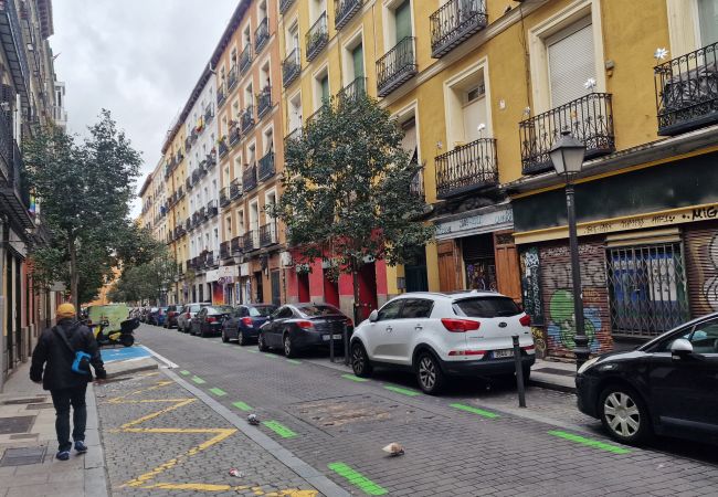 Appartamento a Madrid - Piso de 2 dormitorios a pasos del Museo Reina Sofía: confort y ubicación perfecta en Madrid .Temporal Appartamento a Madrid - Piso de 2 dormitorios a pasos del Museo Reina Sofía: confort y ubicación perfecta en Madrid .Temporal
