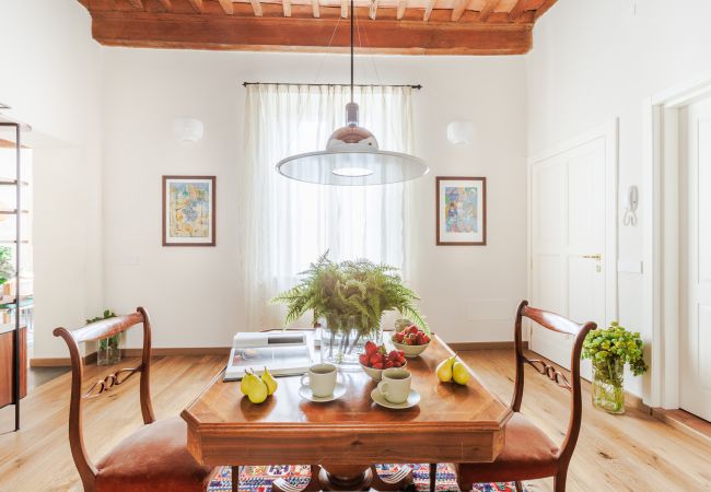 Appartamento a Lucca - Historic and Contemporary 3 Bedrooms inside Lucca Appartamento a Lucca - Historic and Contemporary 3 Bedrooms inside Lucca