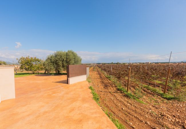 Villa a Muro - 277 Son Sant Joan by Mallorca Charme Villa a Muro - 277 Son Sant Joan by Mallorca Charme