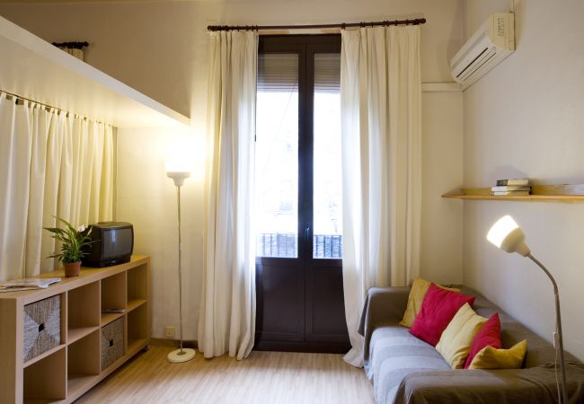  in Barcelona ciudad - GOTHIC - Balcony & shared terrace apartment