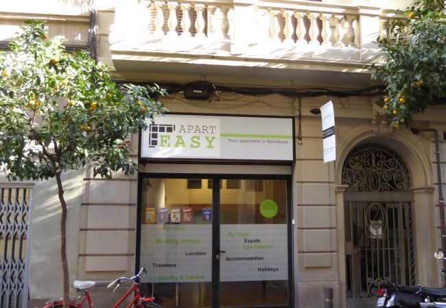 Apartment in Barcelona - Charm and comfortable apartment in Barcelona Apartment in Barcelona - Charm and comfortable apartment in Barcelona