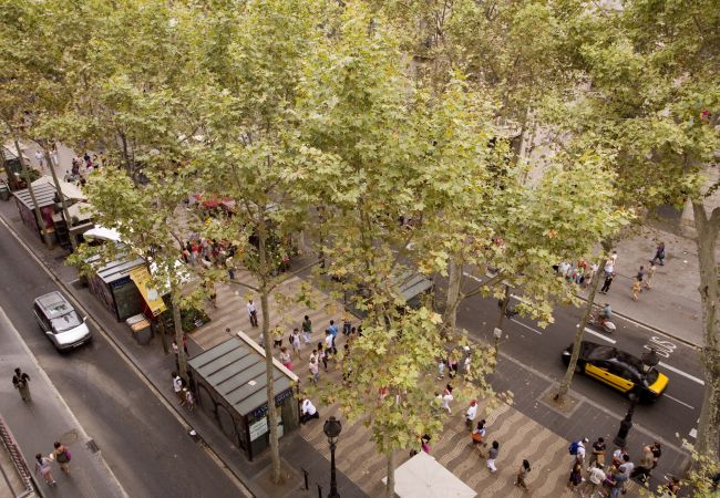Apartamento em Barcelona - GOTHIC - Balcony & shared terrace apartment Apartamento em Barcelona - GOTHIC - Balcony & shared terrace apartment