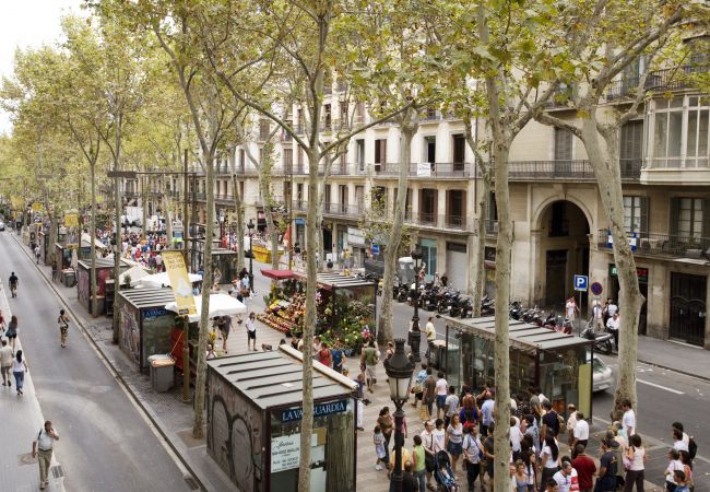 Apartamento em Barcelona - GOTHIC - Balcony & shared terrace apartment Apartamento em Barcelona - GOTHIC - Balcony & shared terrace apartment