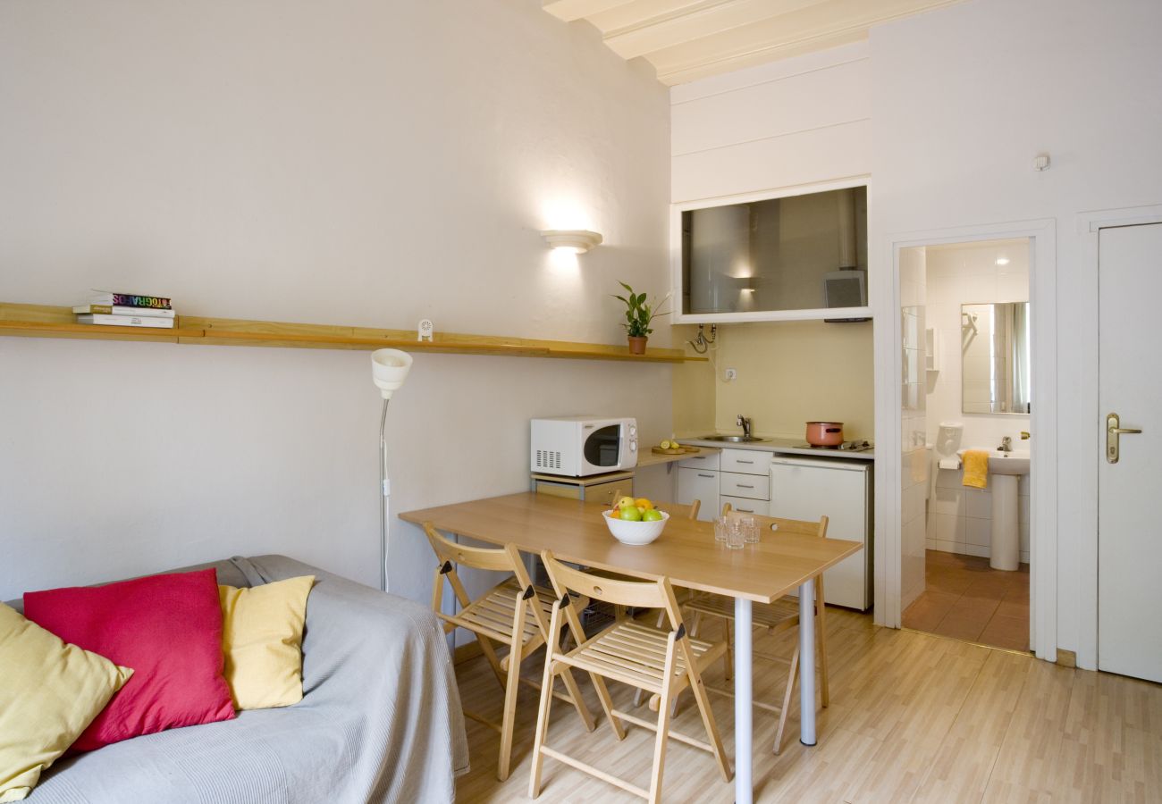 Apartamento em Barcelona - GOTHIC - Balcony & shared terrace apartment Apartamento em Barcelona - GOTHIC - Balcony & shared terrace apartment