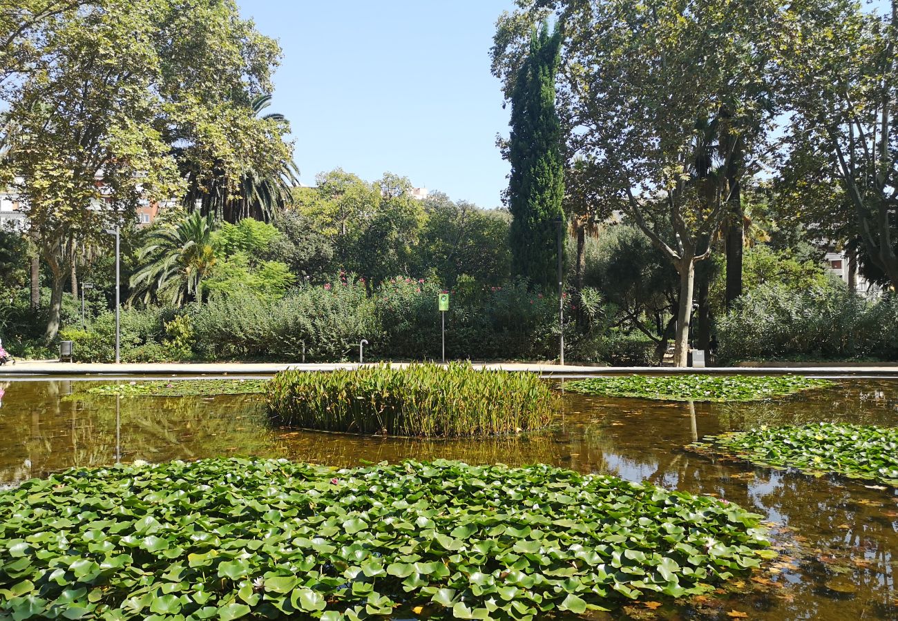 Apartamento em Barcelona - Gorgeous flat in excelent area Apartamento em Barcelona - Gorgeous flat in excelent area