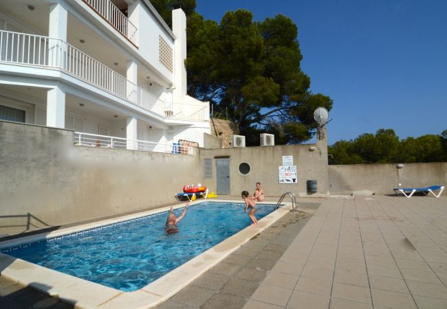 Apartamento em Estartit - TREPUTXELL 2D (4/0) - 7 Apartamento em Estartit - TREPUTXELL 2D (4/0) - 7