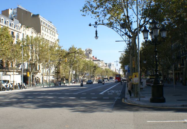 Apartamento em Barcelona - New! Paseo de Gracia, best location-0-Dormitorios Apartamento em Barcelona - New! Paseo de Gracia, best location-0-Dormitorios