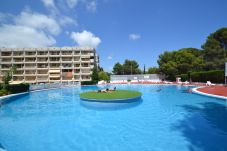 Apartamento em Salou - Catalunya 12:Terraza 60m2-Cerca playas-Centro Salou-Piscinas,deportes,juegos-Wifi,ropa incluidos