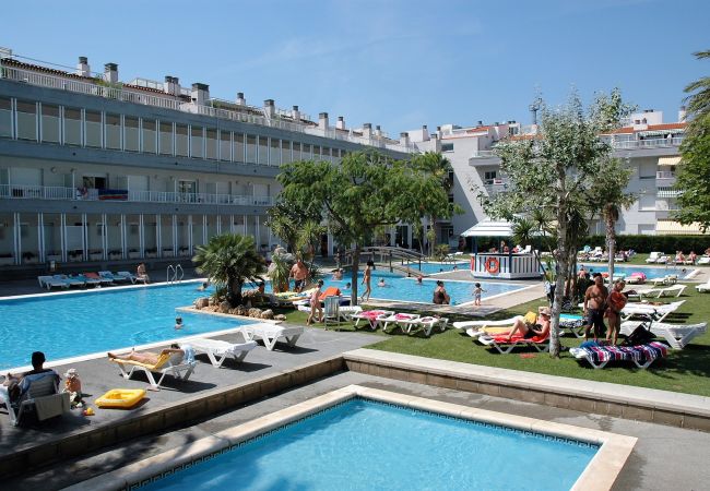 Apartamento em Estartit - ILLA MAR D'OR 141 Apartamento em Estartit - ILLA MAR D'OR 141