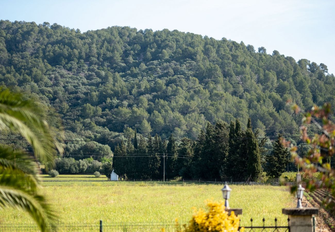 Fazenda em Sa Pobla - Can Mussol 040 magnifica villa con piscina privada, gran jardín, zona infantil, billar, ping pong y WiFi Fazenda em Sa Pobla - Can Mussol 040 magnifica villa con piscina privada, gran jardín, zona infantil, billar, ping pong y WiFi