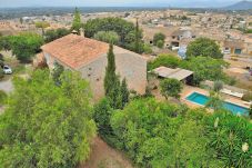 Fazenda em Llubi - Son Barraquer 047 tradicional finca con piscina y magnífico jardín