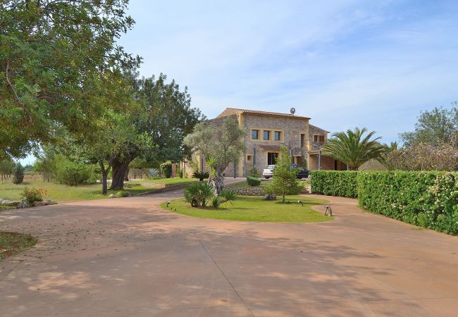 Fazenda em Binissalem - Es Triquet 151 acogedora villa con piscina privada, terraza, barbacoa y WiFi Fazenda em Binissalem - Es Triquet 151 acogedora villa con piscina privada, terraza, barbacoa y WiFi
