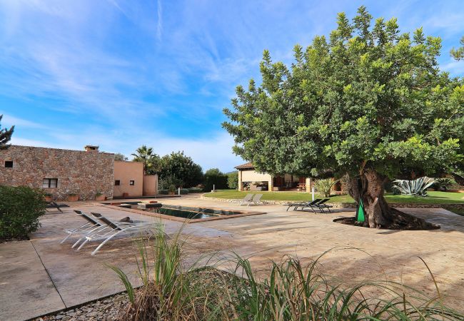Fazenda em Binissalem - Es Triquet 151 acogedora villa con piscina privada, terraza, barbacoa y WiFi Fazenda em Binissalem - Es Triquet 151 acogedora villa con piscina privada, terraza, barbacoa y WiFi