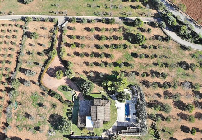 Fazenda em Binissalem - Es Triquet 151 acogedora villa con piscina privada, terraza, barbacoa y WiFi Fazenda em Binissalem - Es Triquet 151 acogedora villa con piscina privada, terraza, barbacoa y WiFi