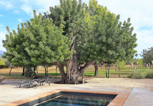 Fazenda em Binissalem - Es Triquet 151 acogedora villa con piscina privada, terraza, barbacoa y WiFi Fazenda em Binissalem - Es Triquet 151 acogedora villa con piscina privada, terraza, barbacoa y WiFi