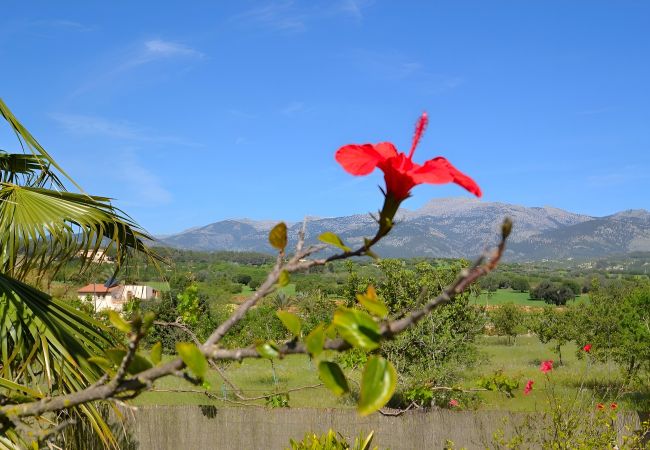 Fazenda em Inca - 171 Villa Tramuntana VT/1956 by Mallorca Charme Fazenda em Inca - 171 Villa Tramuntana VT/1956 by Mallorca Charme