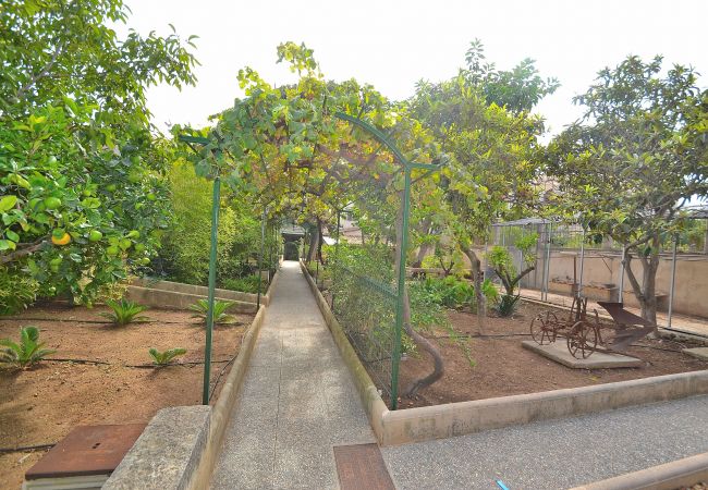 Casa em Muro - Can Bisbe 187 tradicional villa con piscina privada, preciosas vistas, barbacoa y ping pong Casa em Muro - Can Bisbe 187 tradicional villa con piscina privada, preciosas vistas, barbacoa y ping pong