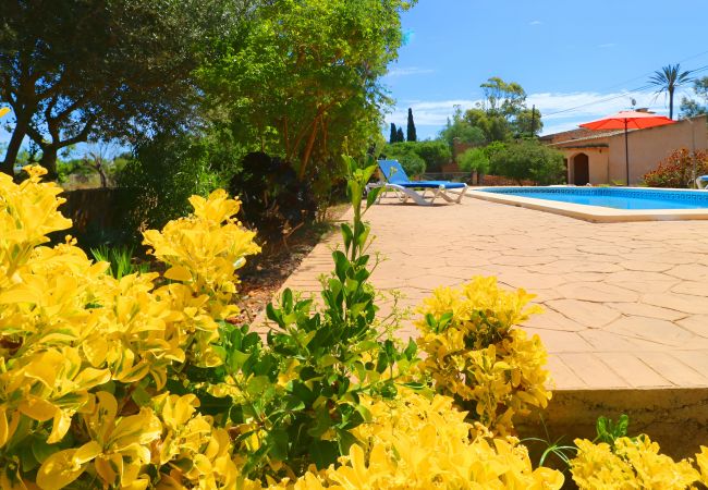 Fazenda em Es Llombards - Can Cova 413 finca rústica con piscina privada, terraza, aire acondicionado y WiFi Fazenda em Es Llombards - Can Cova 413 finca rústica con piscina privada, terraza, aire acondicionado y WiFi
