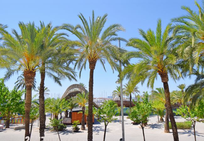 Apartamento em Port d´Alcudia - Pins-Tugores 134 acogedor apartamento en zona céntrica, balcón, aire acondicionado y WiFi Apartamento em Port d´Alcudia - Pins-Tugores 134 acogedor apartamento en zona céntrica, balcón, aire acondicionado y WiFi