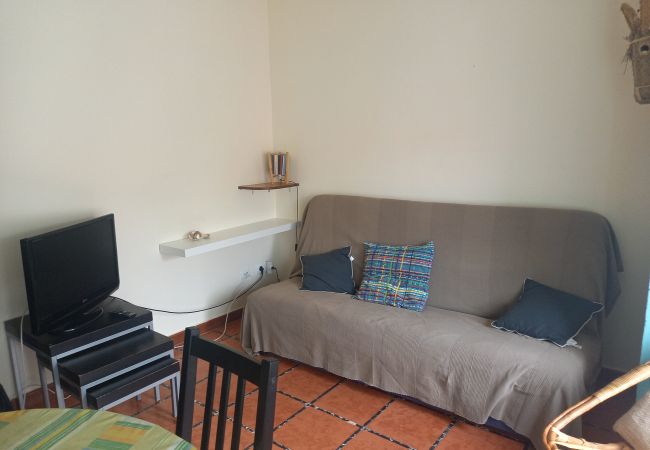 Apartamento em L'Escala - PUIG SUREDA 36 2-1 Apartamento em L'Escala - PUIG SUREDA 36 2-1