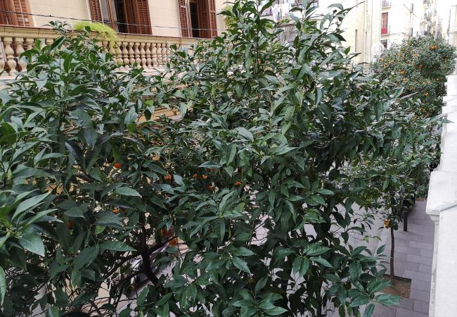 Apartamento em Barcelona - Apartamento de férias para alugar em Barcelona, Gracia (1 quarto) Apartamento em Barcelona - Apartamento de férias para alugar em Barcelona, Gracia (1 quarto)