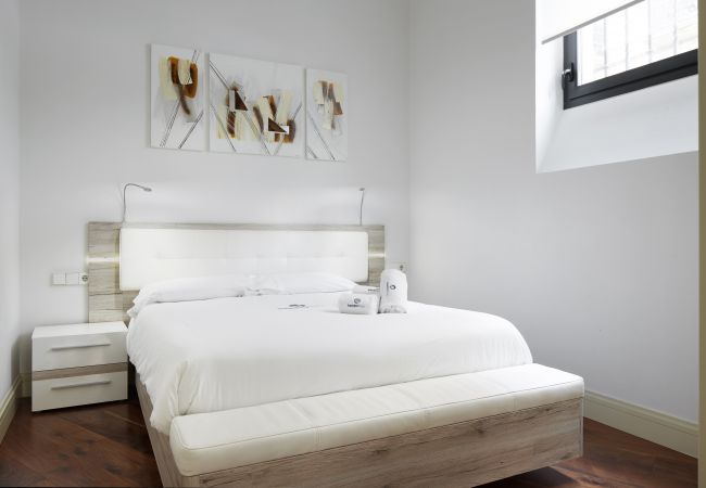 Apartamento em San Sebastián/Donostia - Fotos EIDER Apartamento em San Sebastián/Donostia - Fotos EIDER