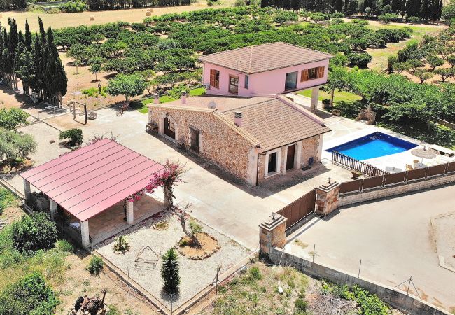Villa em Muro - Biniaco 239 magnífica villa con piscina privada, gran zona exterior, barbacoa y aire acondicionado Villa em Muro - Biniaco 239 magnífica villa con piscina privada, gran zona exterior, barbacoa y aire acondicionado
