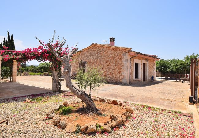 Villa em Muro - Biniaco 239 magnífica villa con piscina privada, gran zona exterior, barbacoa y aire acondicionado Villa em Muro - Biniaco 239 magnífica villa con piscina privada, gran zona exterior, barbacoa y aire acondicionado