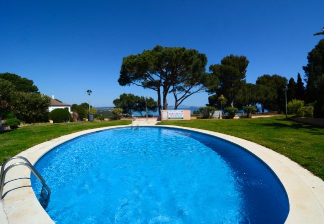 Apartamento em Begur - AVA SENIA 5-1 Apartamento em Begur - AVA SENIA 5-1