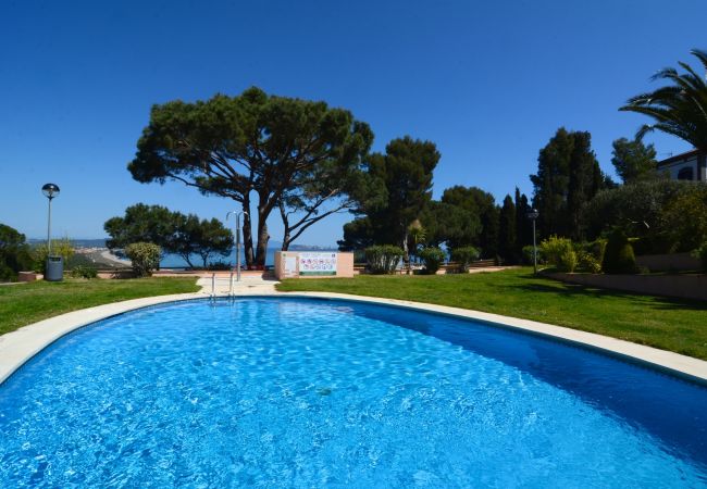 Apartamento em Begur - AVA SENIA 5-1 Apartamento em Begur - AVA SENIA 5-1