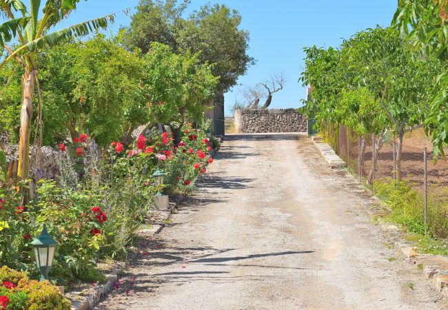 Fazenda em Santa Margalida - Ballester 034 fantástica finca con piscina privada, gran terraza, barbacoa y aire acondicionado Fazenda em Santa Margalida - Ballester 034 fantástica finca con piscina privada, gran terraza, barbacoa y aire acondicionado