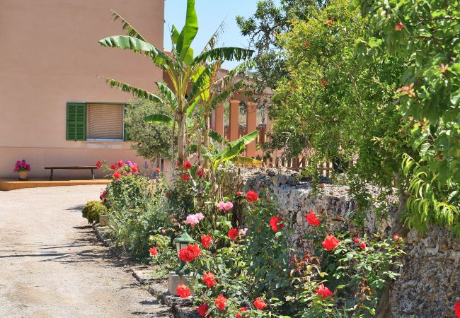 Fazenda em Santa Margalida - Ballester 034 fantástica finca con piscina privada, gran terraza, barbacoa y aire acondicionado Fazenda em Santa Margalida - Ballester 034 fantástica finca con piscina privada, gran terraza, barbacoa y aire acondicionado