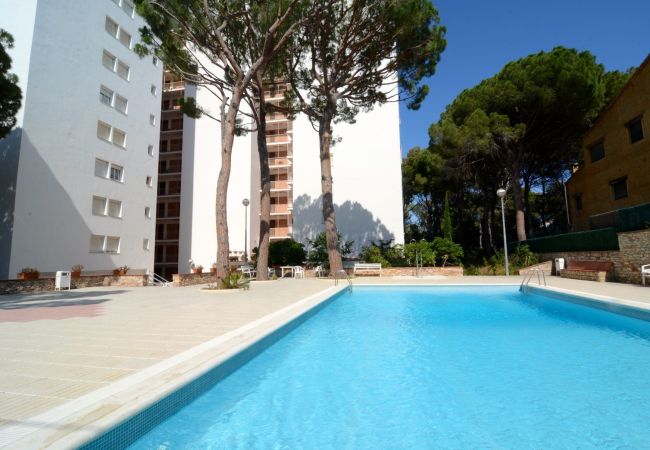 Apartamento em Pals - Bosmar 1C Apartamento em Pals - Bosmar 1C