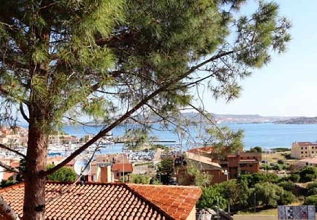 Apartamento em Palau - Ático Palau 2BR 2BA terraza con impresionantes vistas Apartamento em Palau - Ático Palau 2BR 2BA terraza con impresionantes vistas