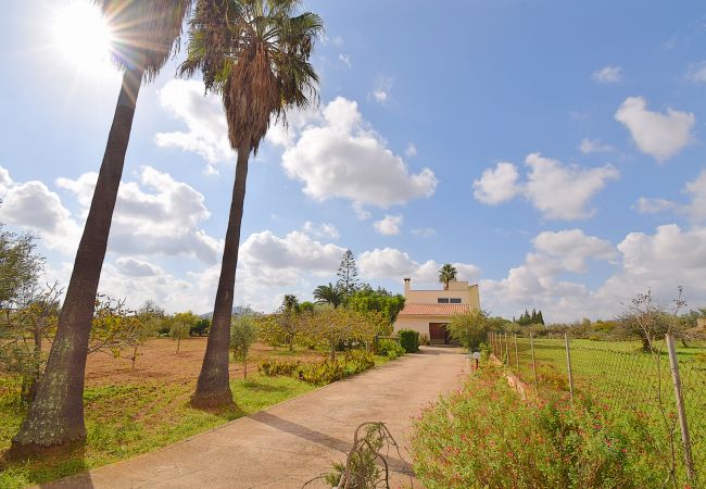 Fazenda em Campanet - Can Nina 198 tradicional finca con piscina privada, terraza, barbacoa y WiFi Fazenda em Campanet - Can Nina 198 tradicional finca con piscina privada, terraza, barbacoa y WiFi