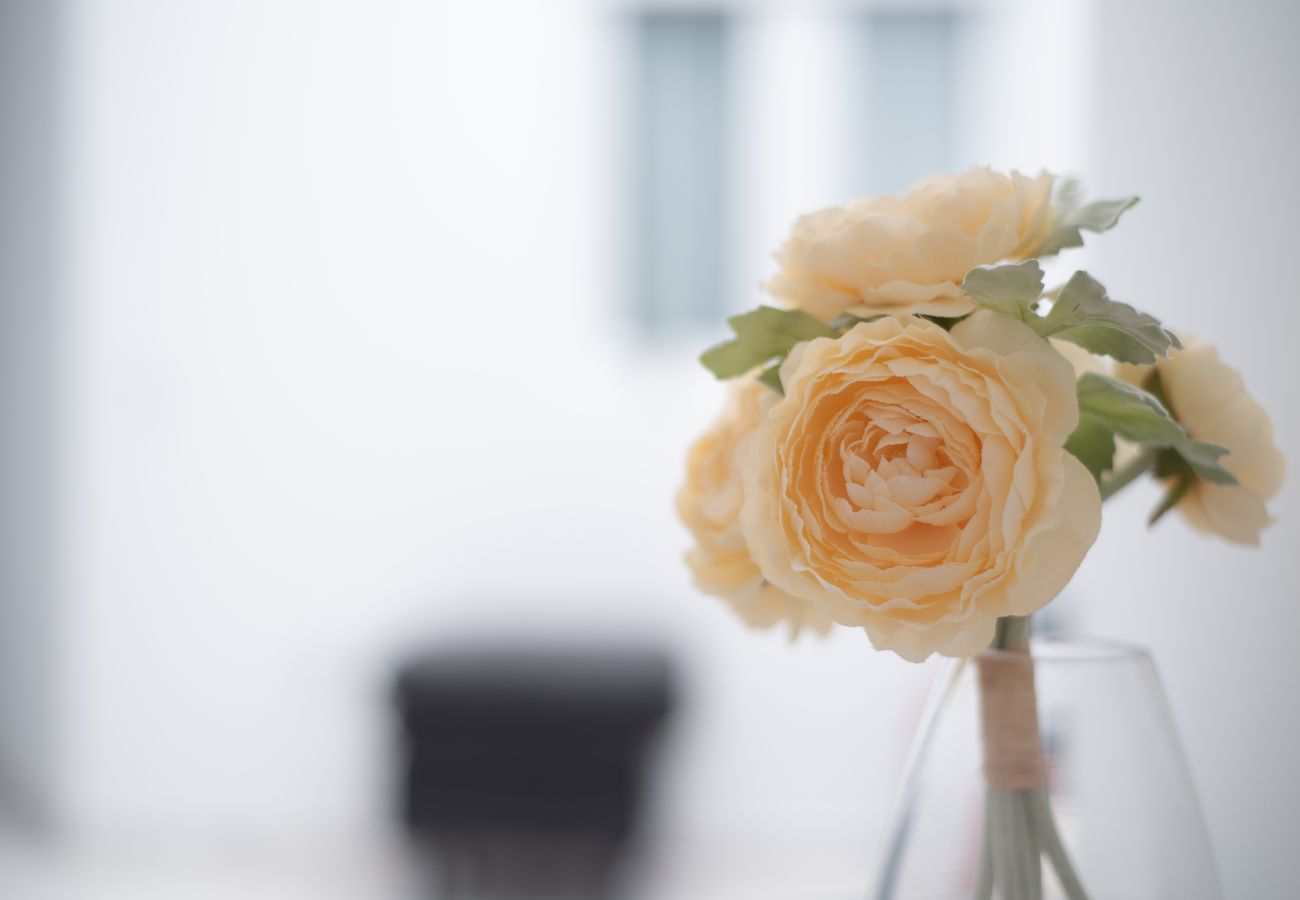 Casa em Las Palmas de Gran Canaria - Isle Home By CanariasGetaway Casa em Las Palmas de Gran Canaria - Isle Home By CanariasGetaway