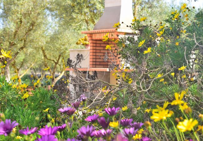 Fazenda em Ariany - Calderitx 253 fantástica finca con piscina privada, zona infantil, barbacoa y terraza Fazenda em Ariany - Calderitx 253 fantástica finca con piscina privada, zona infantil, barbacoa y terraza