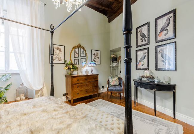 Apartamento em Lucca - Luxury 3 bedrooms Apartment Amazing Views over the Amphiteatre Square inside the Walls of Lucca Apartamento em Lucca - Luxury 3 bedrooms Apartment Amazing Views over the Amphiteatre Square inside the Walls of Lucca
