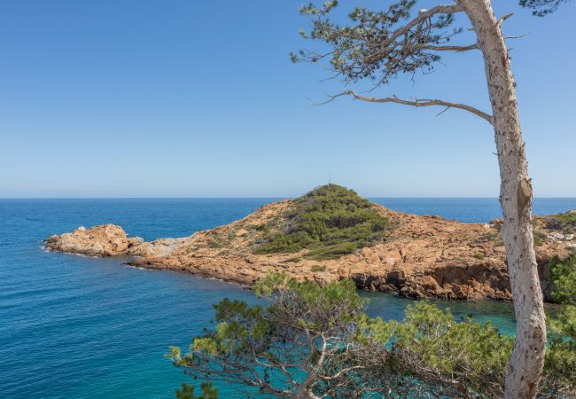 Apartamento em Begur - Sa Tuna Apt Apartamento em Begur - Sa Tuna Apt