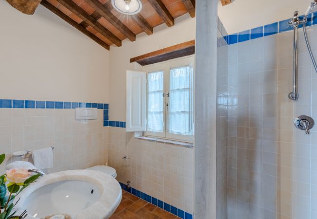 Villa em Lucca - Tuscan Fizz, a traditional Stone Farmhouse with Private Pool and Amazing View among the Vineyards in Lucca Villa em Lucca - Tuscan Fizz, a traditional Stone Farmhouse with Private Pool and Amazing View among the Vineyards in Lucca