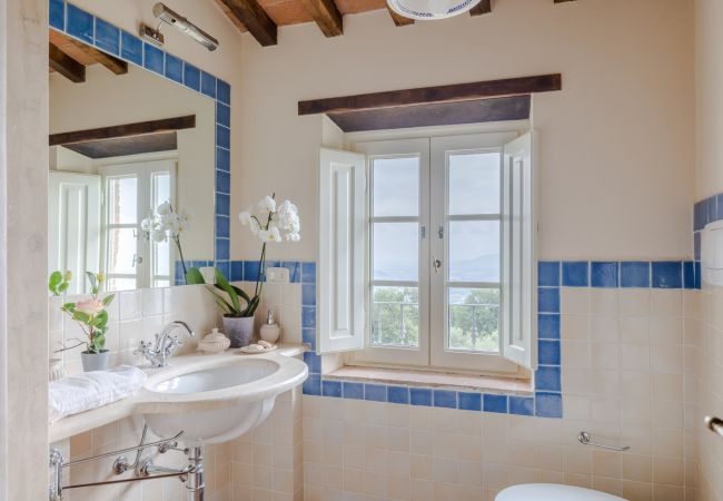 Villa em Lucca - Tuscan Fizz, a traditional Stone Farmhouse with Private Pool and Amazing View among the Vineyards in Lucca Villa em Lucca - Tuscan Fizz, a traditional Stone Farmhouse with Private Pool and Amazing View among the Vineyards in Lucca