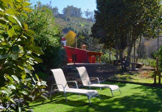 Casa rural em Valleseco - Sombra del Laurel