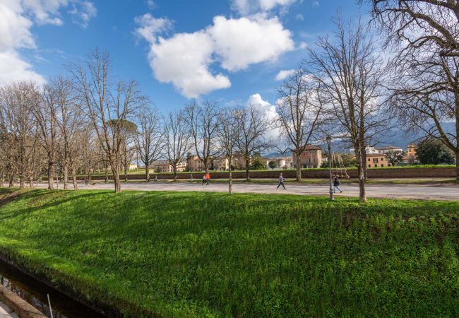 Apartamento em Lucca - Casa Daria, Modern 4 Bedrooms Apartment inside the Walls of Lucca  Apartamento em Lucca - Casa Daria, Modern 4 Bedrooms Apartment inside the Walls of Lucca