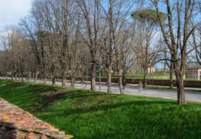 Apartamento em Lucca - Casa Daria, Modern 4 Bedrooms Apartment inside the Walls of Lucca  Apartamento em Lucca - Casa Daria, Modern 4 Bedrooms Apartment inside the Walls of Lucca