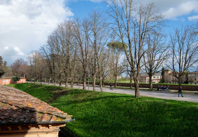 Apartamento em Lucca - Casa Daria, Modern 4 Bedrooms Apartment inside the Walls of Lucca  Apartamento em Lucca - Casa Daria, Modern 4 Bedrooms Apartment inside the Walls of Lucca