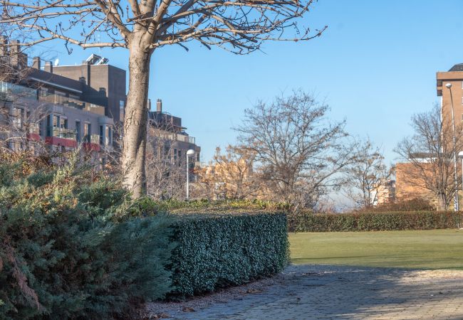 Apartamento em Madrid - Aria: Donde la Tranquilidad y el Diseño se Encuentran. Temporal Apartamento em Madrid - Aria: Donde la Tranquilidad y el Diseño se Encuentran. Temporal