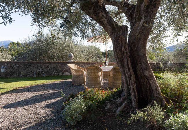 Villa em Lucca - Romantic Farmhouse with Oversize Panoramic Pool Villa em Lucca - Romantic Farmhouse with Oversize Panoramic Pool