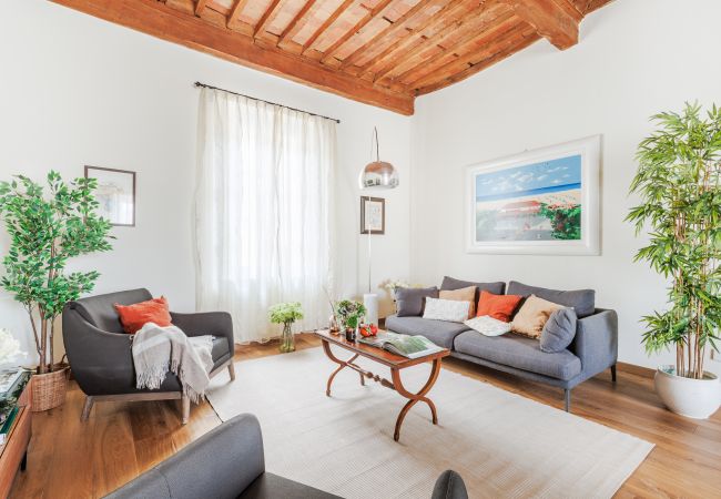 Apartamento em Lucca - Historic and Contemporary 3 Bedrooms inside Lucca Apartamento em Lucca - Historic and Contemporary 3 Bedrooms inside Lucca