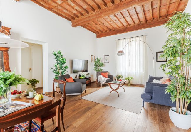 Apartamento em Lucca - Historic and Contemporary 3 Bedrooms inside Lucca Apartamento em Lucca - Historic and Contemporary 3 Bedrooms inside Lucca
